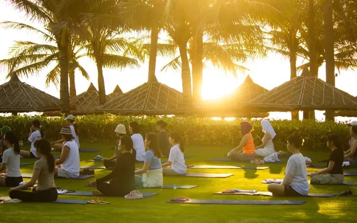Group meditating on yoga mats on a lawn under palm trees at sunrise